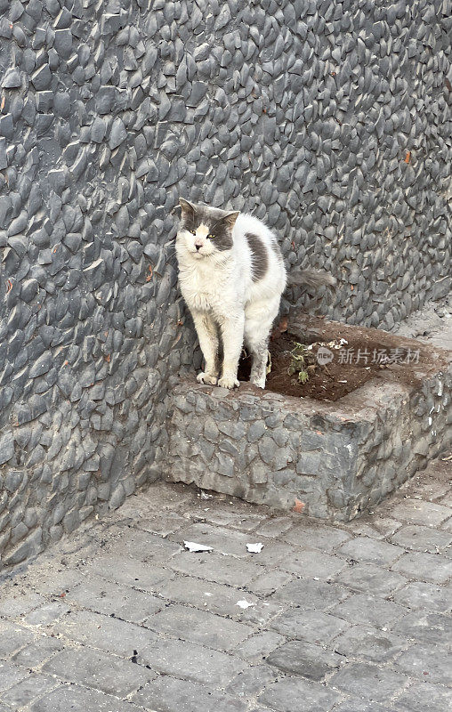 El Jadida⁩，⁨摩洛哥